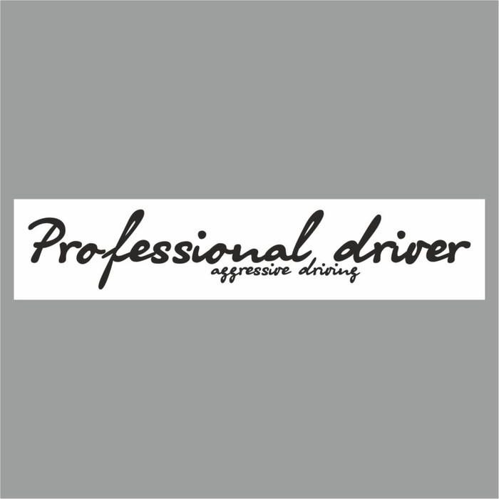 

Полоса на лобовое стекло "Professional driverf", белая, 1220 х 270 мм