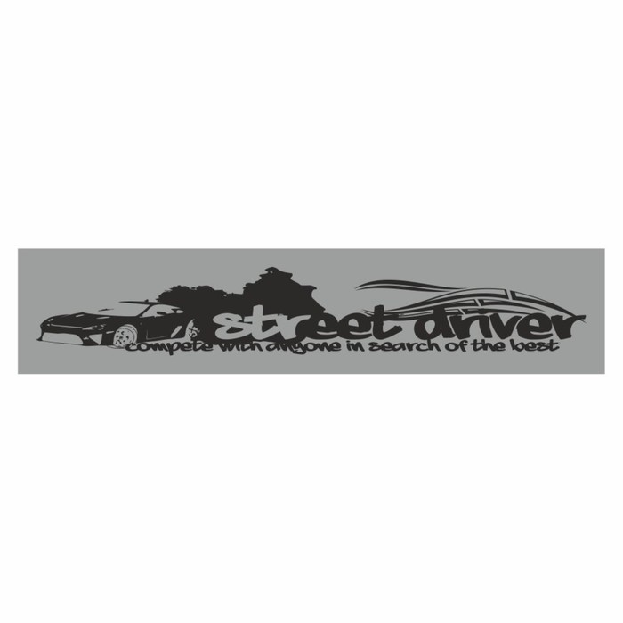 

Полоса на лобовое стекло "Street driver", серебро, 1300 х 170 мм