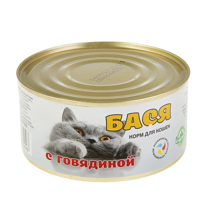 Корм для кошек оптом от производителя. Корм Magazin для кошек. Влажный корм корм для кошек. Корм для кошек Бася. Белорусский кошачий корм.