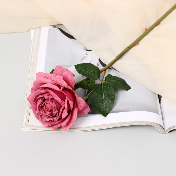 Цветы искусственные Роза эстетик 10х49 см, пепельно-розовый цветы искусственные роза эстетик 10х49 см пепельно розовый