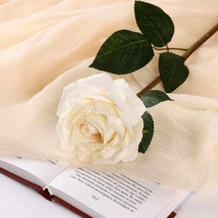 Цветы искусственные Роза эстетик 10х49 см, белый цветы искусственные роза роскошь 9х63 см белый