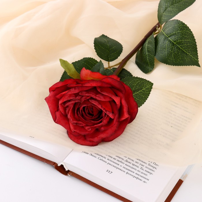 Цветы искусственные Роза эстетик 10х49 см, красный цветы искусственные роза натурэль 6х44 см фиолетовый