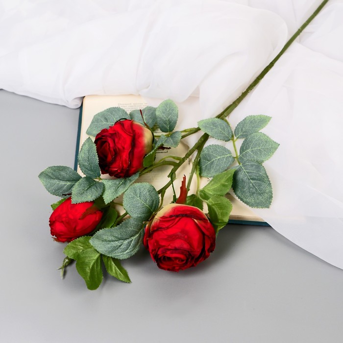Цветы искусственные Роза грация 7х57 см, красный цветы искусственные гвоздички 8х67 см красный