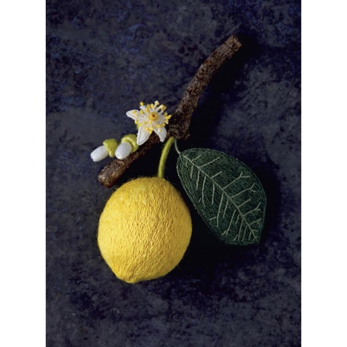 фото Botanica. 12 авторских дизайнов с цветами и плодами. объемная вышивка шерстью от джули книдл. книдл дж. контэнт