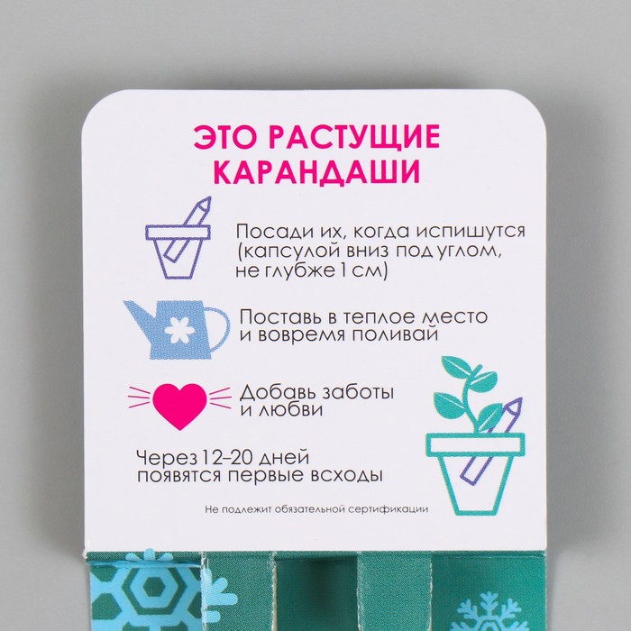 

Растущие подарочные карандаши mini "Голубая Ель + Сосна" набор 2 шт.