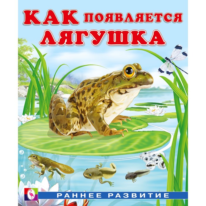 фото Книга "как появляется лягушка" гурина и.в. фламинго