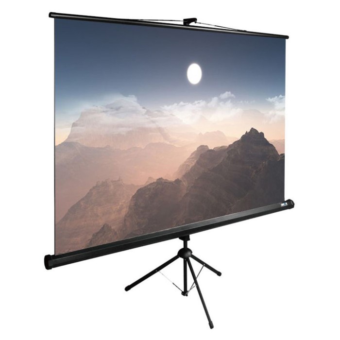Экран Cactus 180x180см CS-PSTE-180x180-BK, 1:1, напольный, рулонный, черный фото