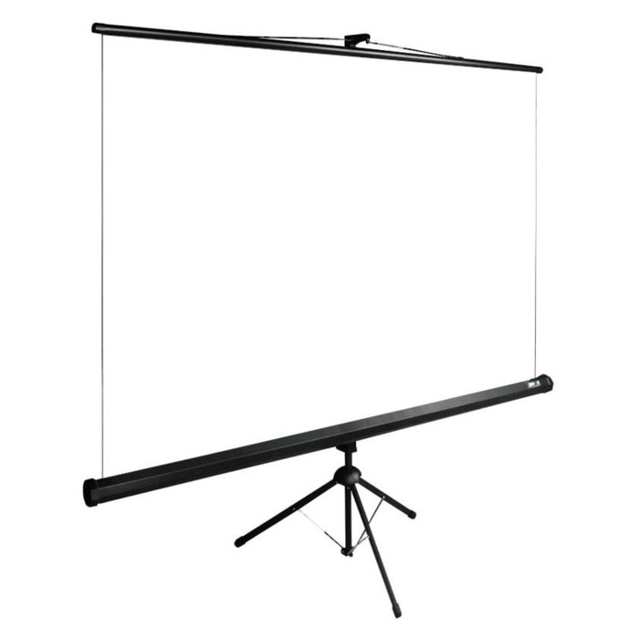 Экран Cactus 160x160см CS-PSTE-160x160-BK, 1:1, напольный, рулонный, черный 9355138