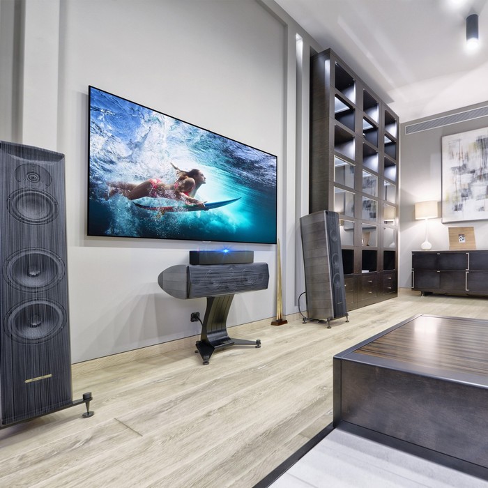 Экран Cactus 126x223см CS-PSALR-223X126, 16:9, на раме, настенный, натяжной 9355149