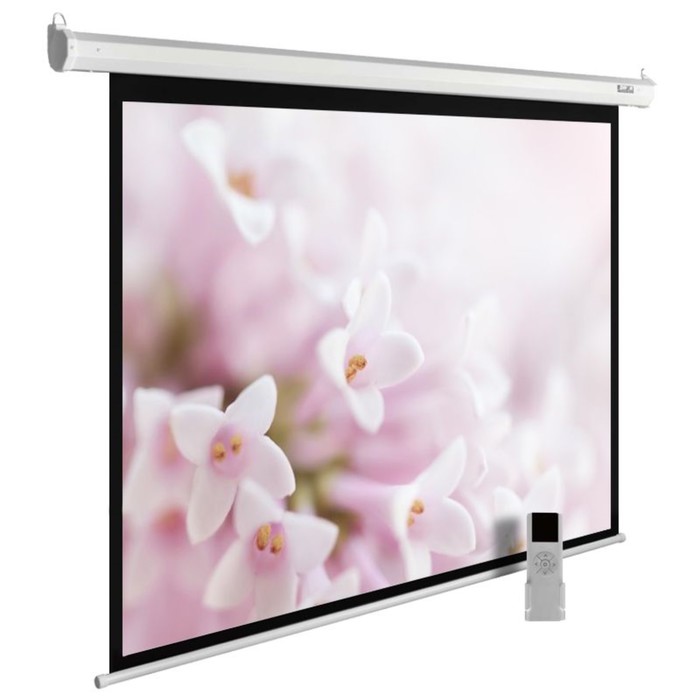 Экран Cactus 240x240см CS-PSME-240x240-WT, 1:1, настенно-потолочный, рулонный, белый