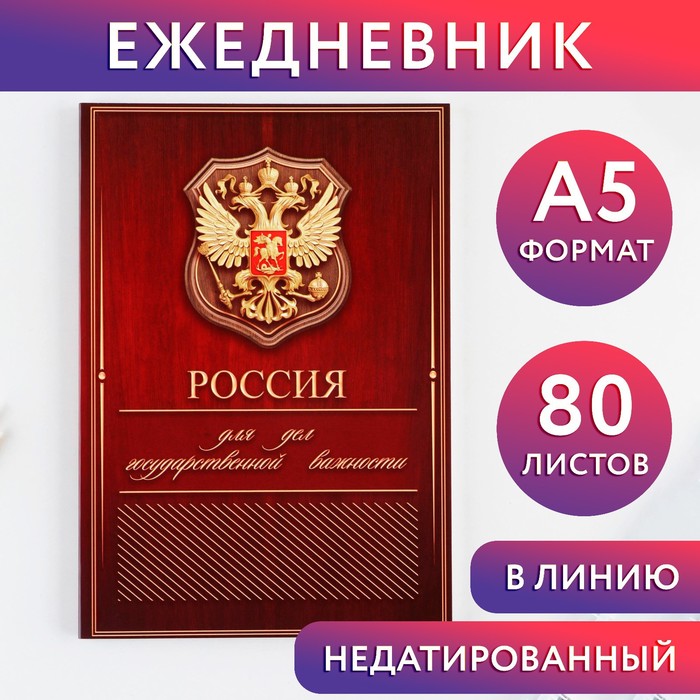 

Ежедневник А5, 80 л «Россия»