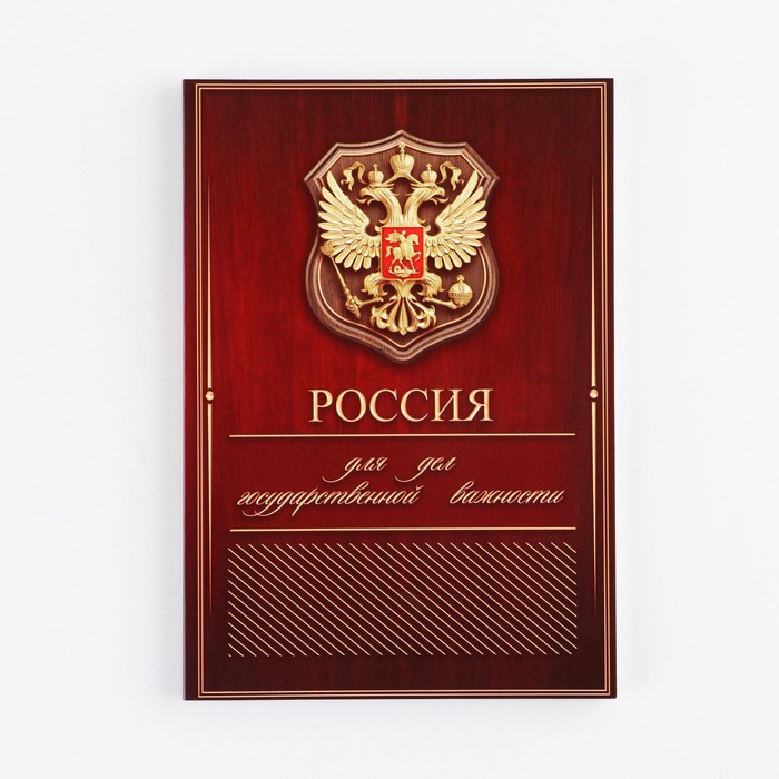 Ежедневник А5, 80 л "Россия"