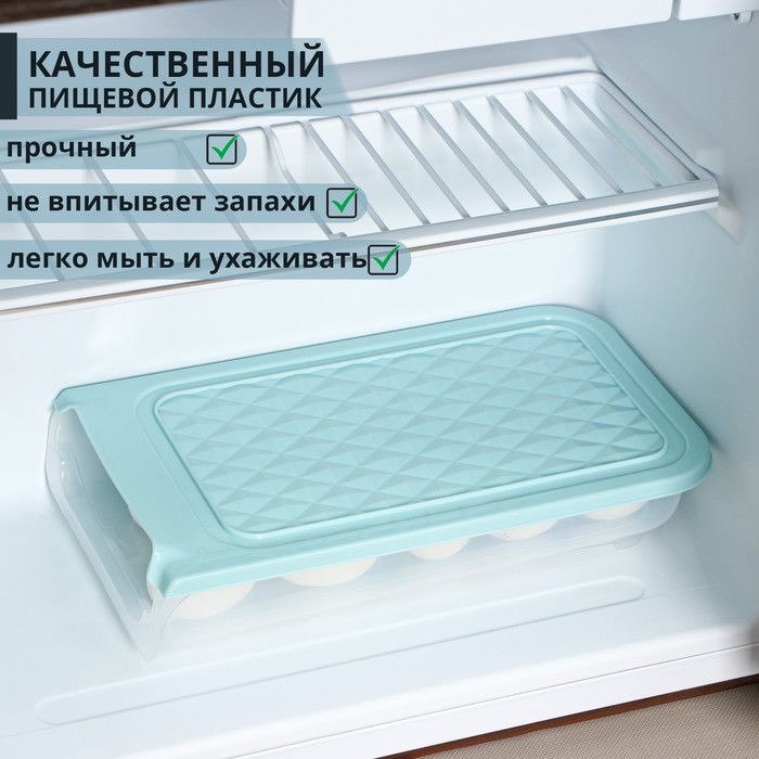 

Контейнер для хранения яиц Доляна, 30×17×6,5 см, цвет МИКС
