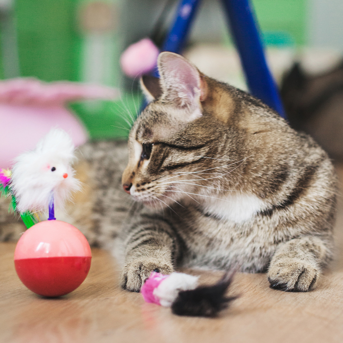 Мышь-неваляшка на шаре, 12 х 5 см, микс цветов