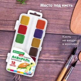 

Акварель 12цв пластик BRAUBERG KIDS, медовые, квадр.кюветы 192282