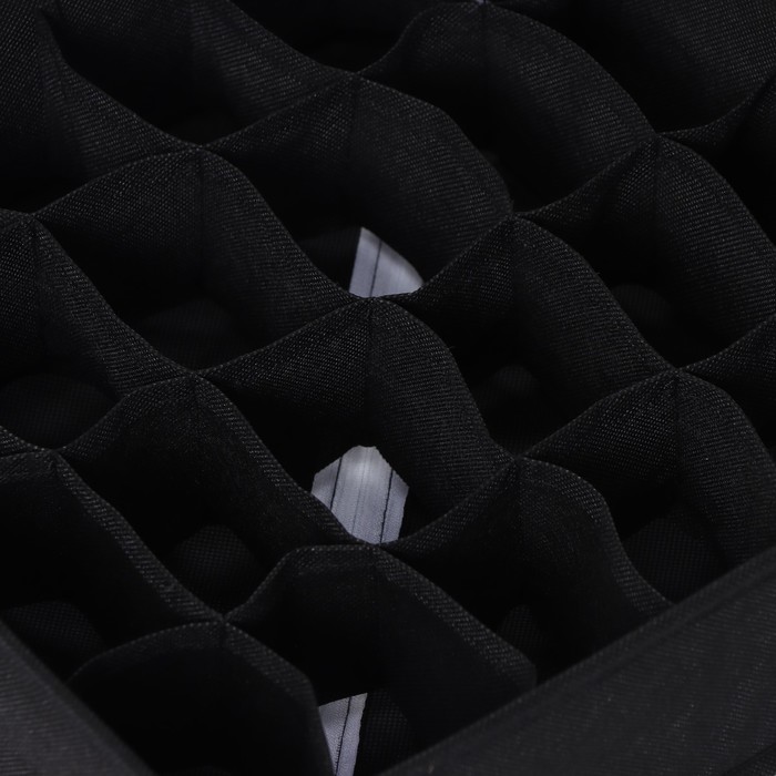 Органайзер для белья Доляна «Смарт», 24 ячейки, 32×32×10 см, цвет чёрный