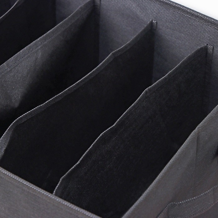 Органайзер для белья Доляна «Смарт», 6 ячеек, 44×29×22 см, цвет чёрный