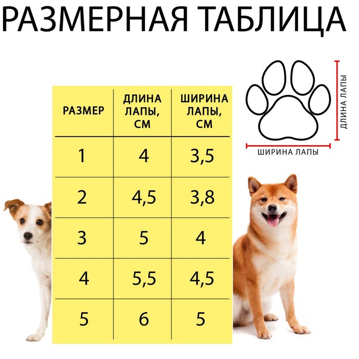 Ботинки "Спорт", набор 4 шт, 2 размер (4,4 х 3,4 см), чёрные