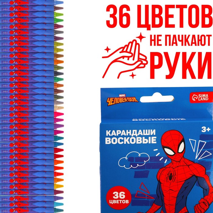 Восковые карандаши, набор 36 цветов, Человек-Паук цена и фото