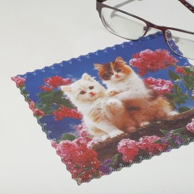 

Салфетка для очков TAO64 "Котята" 15*18см, цвет сине-бежевый