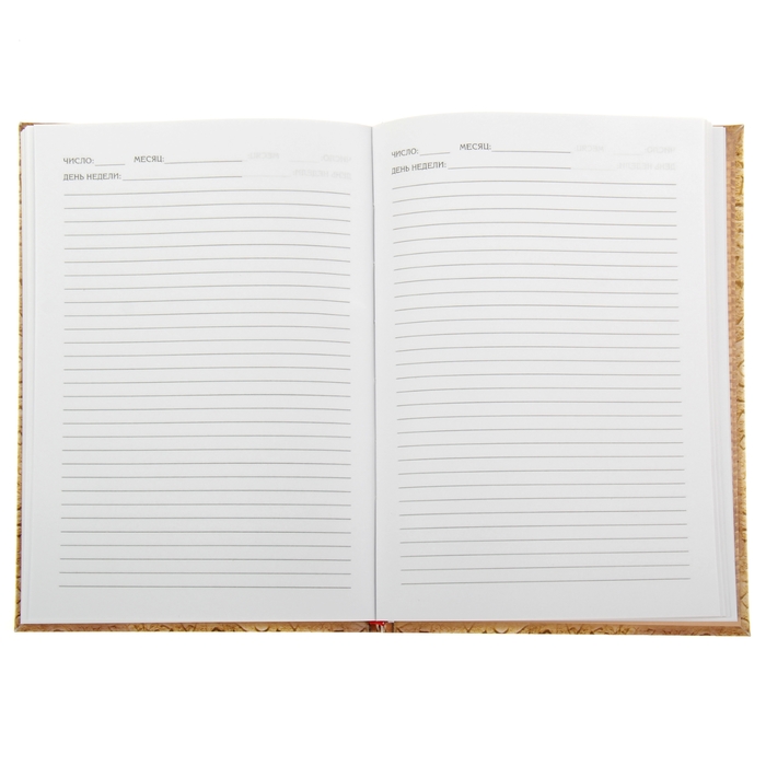 Ежедневник "История великого человека", твёрдая обложка, А5, 96 листов