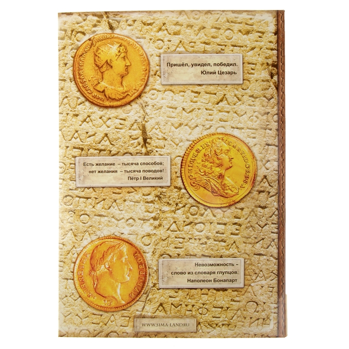 Ежедневник "История великого человека", твёрдая обложка, А5, 96 листов