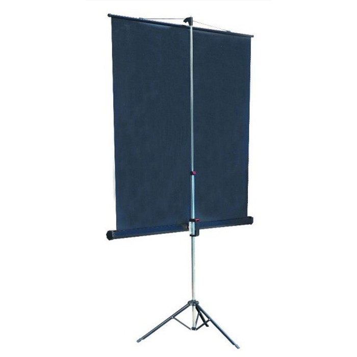 Экран на треноге Lumien 180x180 см, Master View LMV-100103, 1:1, напольный, рулонный 9371811