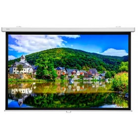 

Экран Lumien 123x151 см, Master Picture LMP-100101CSR, 4:3, настенно-потолочный, рулонный