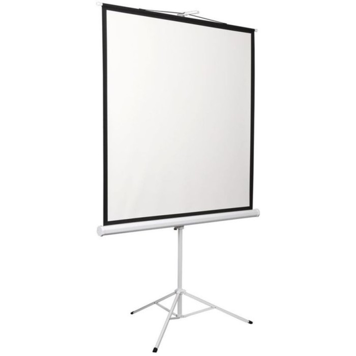 Экран 130x172 см, Digis Kontur-D DSKD-4302, 4:3, напольный, рулонный 9371838