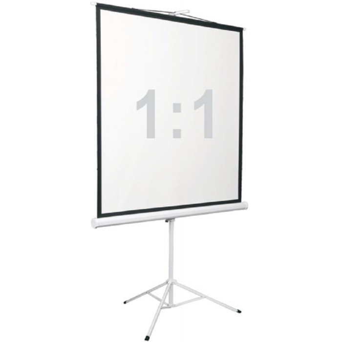 Экран 200x200 см, Digis Kontur-D DSKD-1106, 1:1, напольный, рулонный 9371843