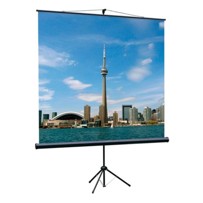 Экран на треноге Lumien 150x150 см, Eco View LEV-100101, 1:1, напольный, рулонный master view 127x127 mw fiberglass lmv 100101