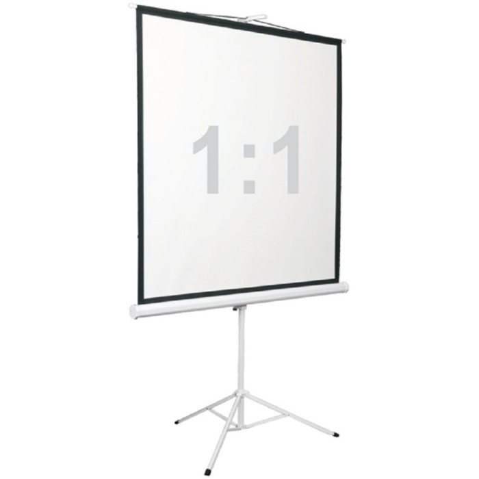 Экран 180x180 см, Digis Kontur-D DSKD-1105, 1:1, напольный, рулонный 9371856