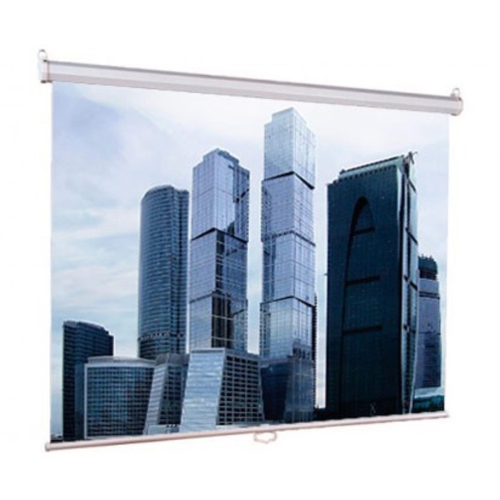 Экран Lumien 200x200 см, Eco Picture LEP-100103, 1:1, настенно-потолочный, рулонный