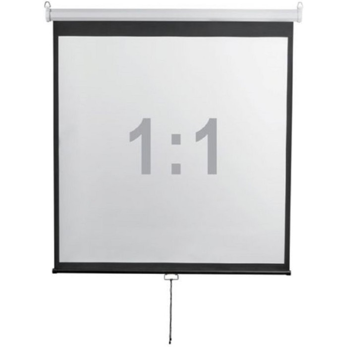 Экран 240x240 см, Digis Optimal-D DSOD-1107, 1:1, настенно-потолочный, рулонный 9371860