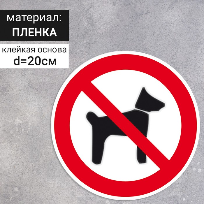 Табличка «Запрещается вход (проход) с животными», 200×200 мм