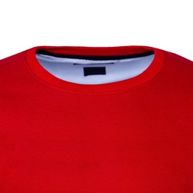 

Свитшот мужской, цвет красный, размер 50 (XL)