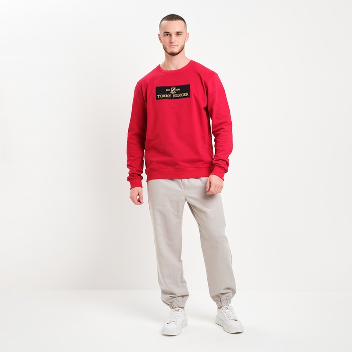 

Свитшот мужской, цвет красный, принт МИКС, размер 52 (2XL)