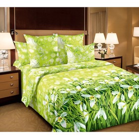 

КПБ дуэт «Подснежники», размер 240х220 см, 143х215см-2 шт, 70х70 см-2 шт