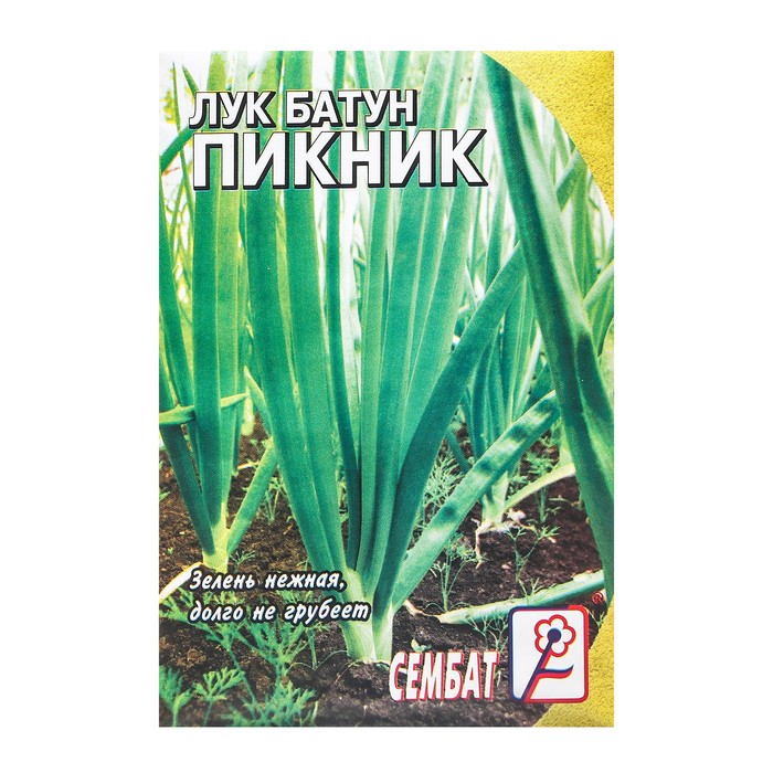 Семена Лук батун "Пикник", 1 г