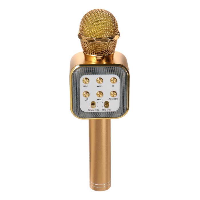 

Микрофон для караоке Belsis MA3002BK, 3 Вт, 1200 мАч, Bluetooth, FM, microSD, золотой