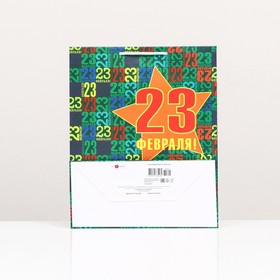 

Пакет подарочный "Защитнику на 23 февраля", 26 х 32 х 12 см