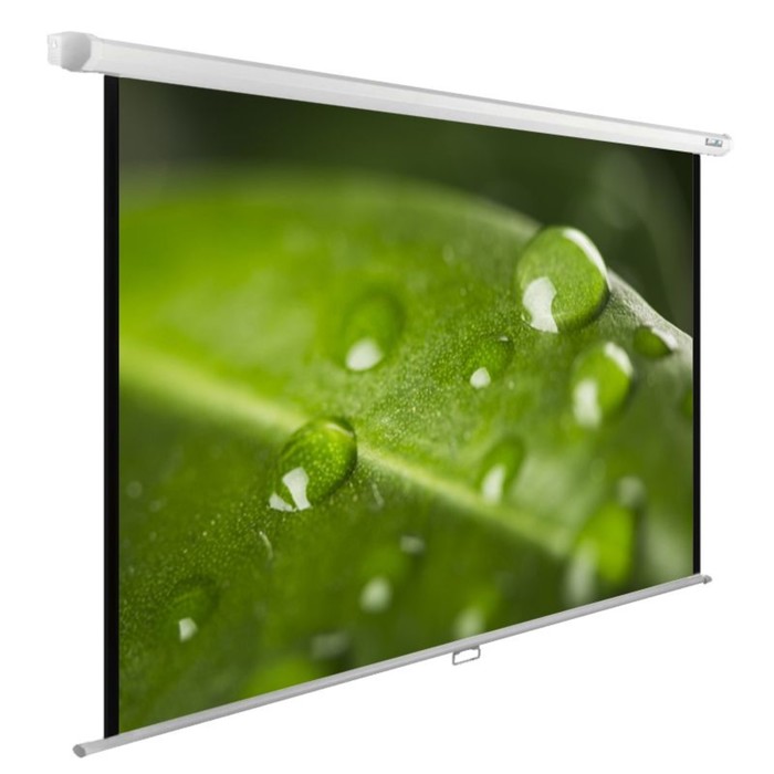 Экран Cactus 150x200см CS-PSWE-200x150-WT, 4:3, настенно-потолочный, рулонный