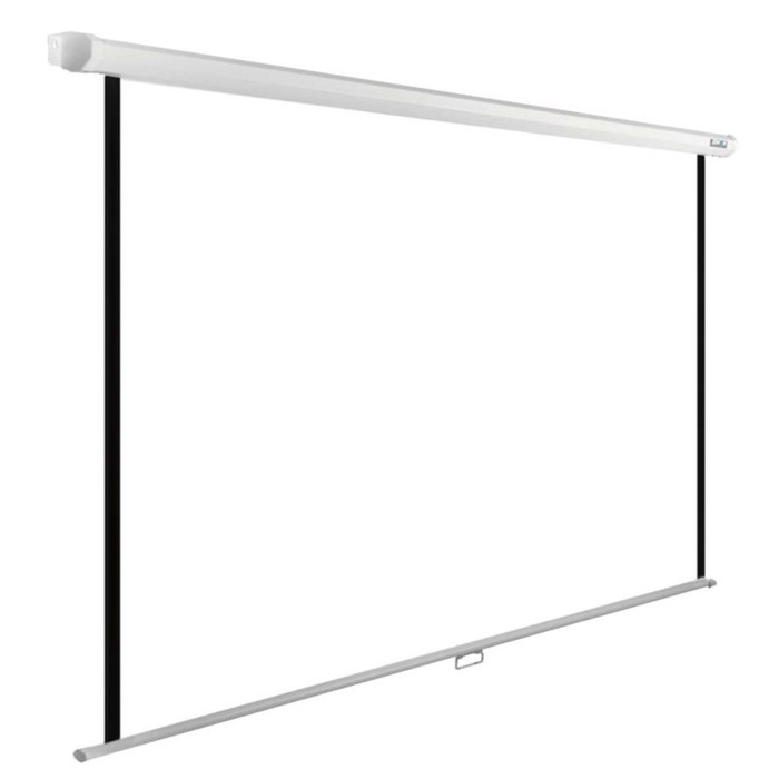 

Экран Cactus 150x200см CS-PSWE-200x150-WT, 4:3, настенно-потолочный, рулонный