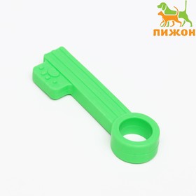 Игрушка жевательная 'Ключик', TPR, 10 см, зелёная Ош
