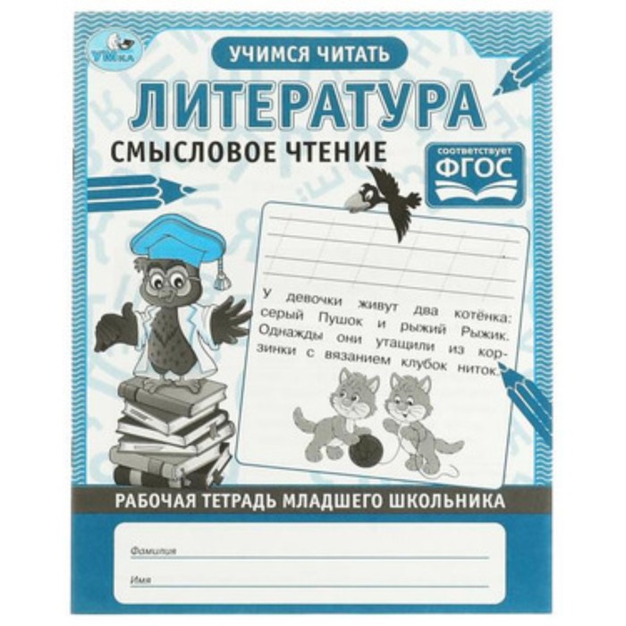 

Литература. Смысловое чтение. Учимся читать