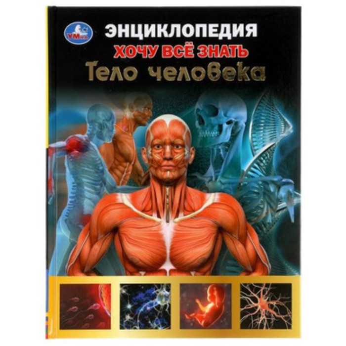 

Тело человека