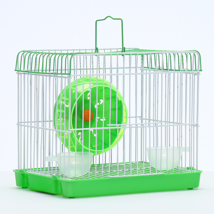 Клетка для грызунов укомплектованная RT-2q, 22 х 16 х 20 см, зелёная (фасовка 30 шт)