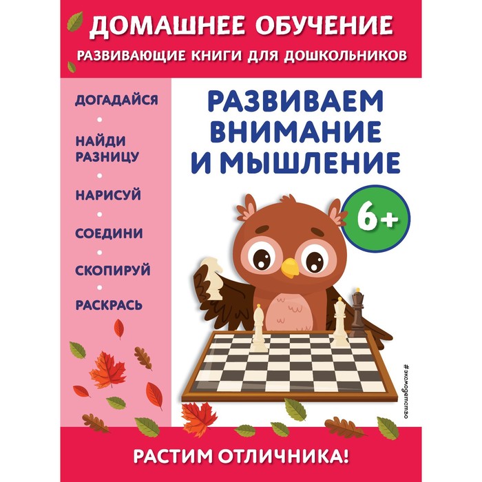 Развиваем внимание и мышление. Для детей от 6 лет. Динч Б.