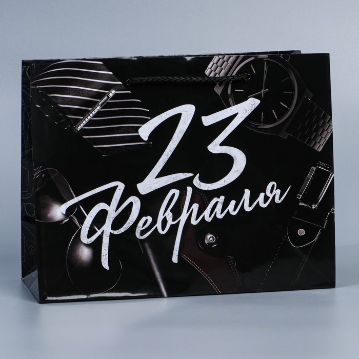 Пакет подарочный ламинированный горизонтальный, упаковка, «23 февраля», MS 23 х 18 х 8 см