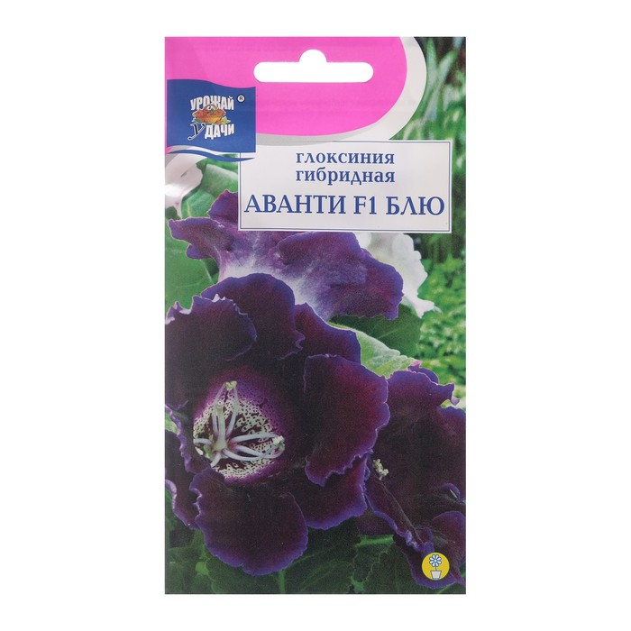 Семена цветов Глоксиния Аванти Блю F1, 3 шт. в амп.